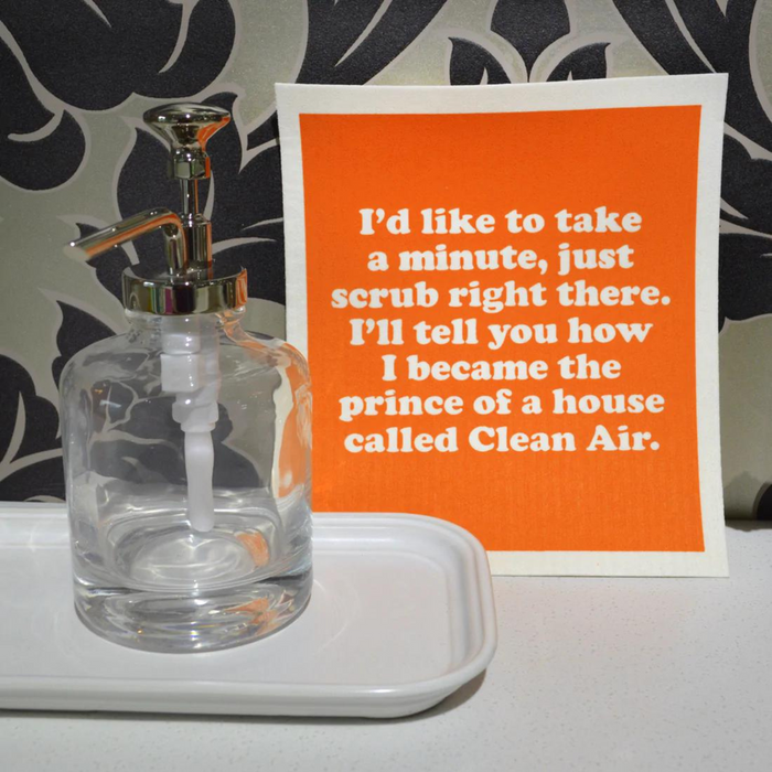 Prince of Clean Air Lyrics Swedish Dishcloth